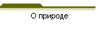 � �������